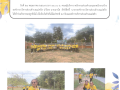 กิจกรรมจิตอาสาวันป่าชุมชนแห่งชาติ Image 1