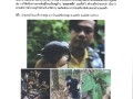 ถนนสายอึ่ง บ้านแม่เชียงรายลุ่ม Image 1
