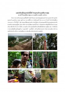 แหล่งเรียนรู้ในชุมชนในพื้นที่ ป่าชุมชนบ้านแม่เชียงรายลุ่ม Image 1